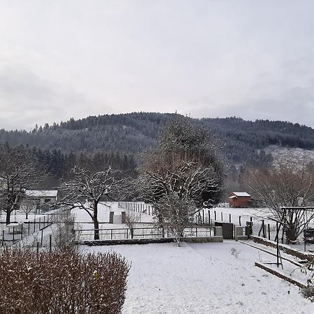 Chez Vovone 3 Etoiles Clevacances Saulxures-sur-Moselotte Екстер'єр фото