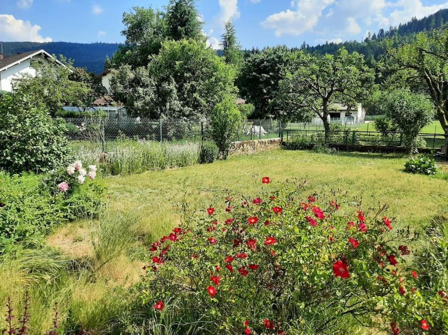 Chez Vovone 3 Etoiles Clevacances Saulxures-sur-Moselotte Екстер'єр фото